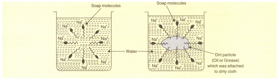 explain the cleansing action of soap class 10 short answer