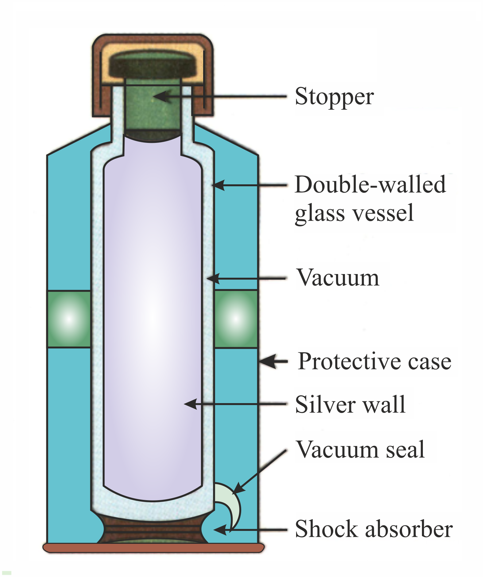 Draw The Diagram Of A Thermos Flask And Label Its Inner Parts