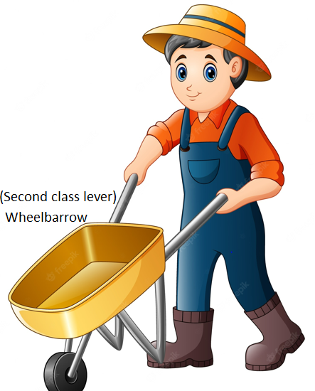 second class lever wheelbarrow