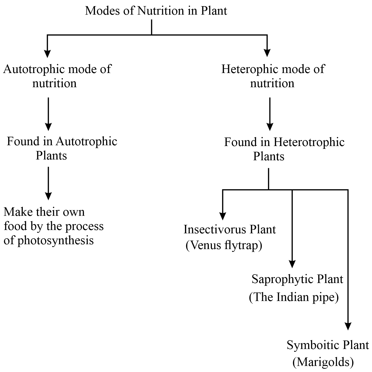 Heterotrophic Plants | Biology for Majors II