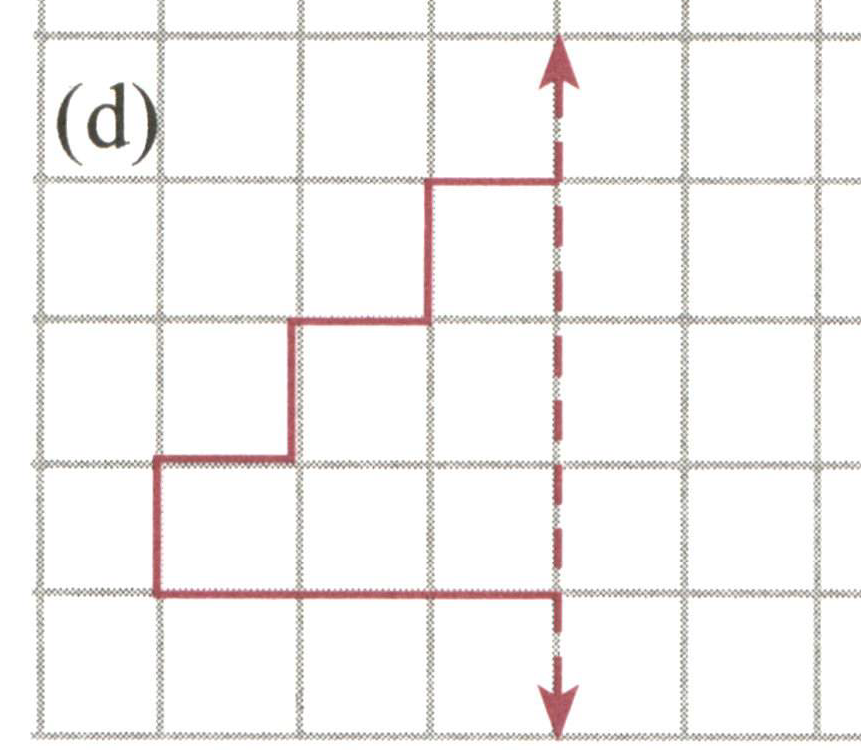 Copy the following on a squared paper. A square paper is what you