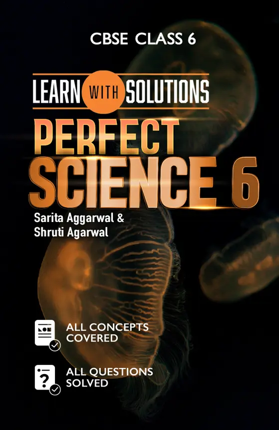Perfect Science 6