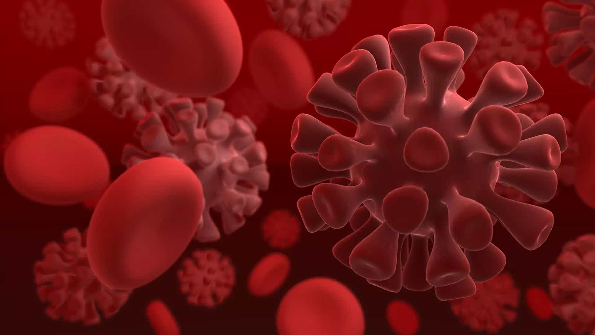 What is two kingdom classification Give its drawbacks