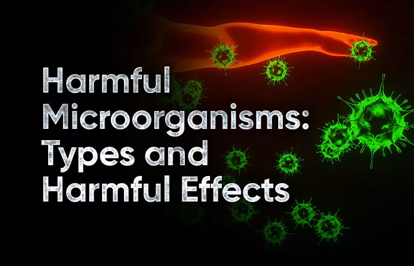 harmful microorganisms with names