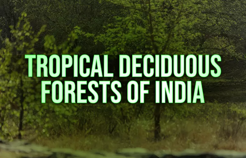 Tropical Deciduous Forests In India, Map, Types,, 55% Off